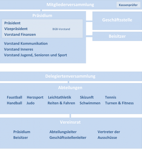 Organisationsstruktur des TV Vaihingen/Enz