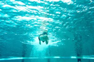 Für Wasserratten – schwimmen lernen und mehr